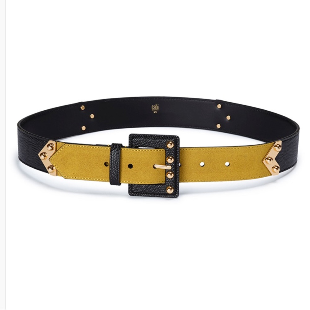 NWOT Cabi Ornament Belt #4593 in Bag